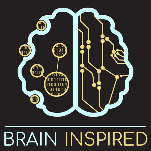 Brain Inspired icon