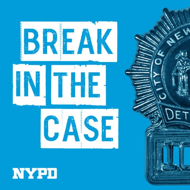 Break in the Case icon