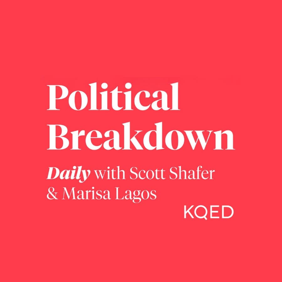 Political Breakdown icon