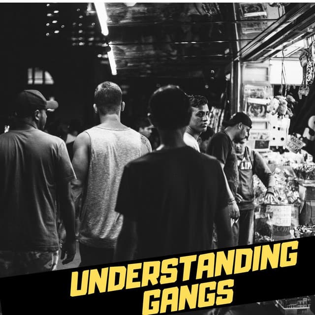 UNDERSTANDING GANGS icon