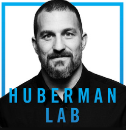 Huberman Lab icon