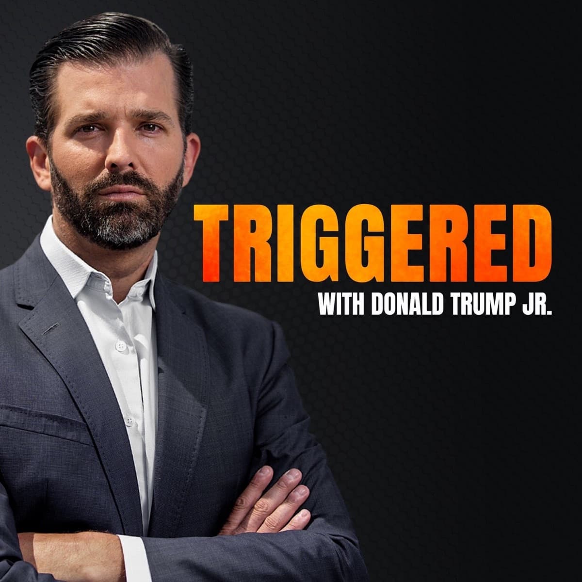 Triggered With Don Jr. icon