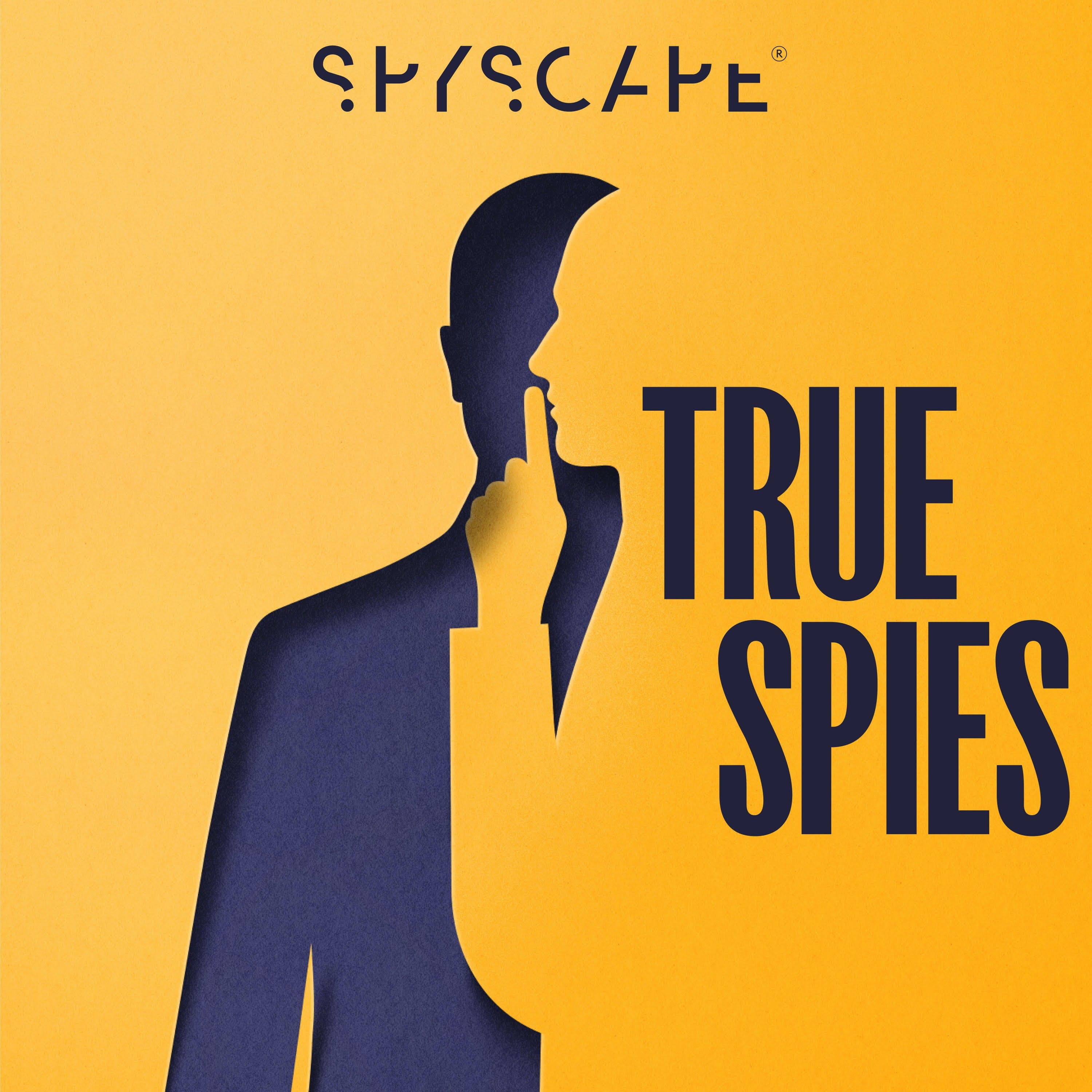 True Spies icon